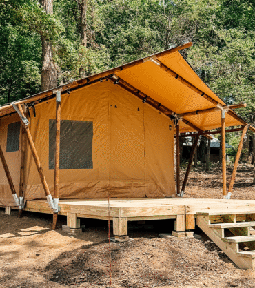 A safari-style glamping tent with a raised wooden platform and stairs, set in a forested area with tall trees and natural surroundings.
