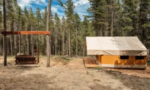 A gable tent in the forest on a wooden deck.