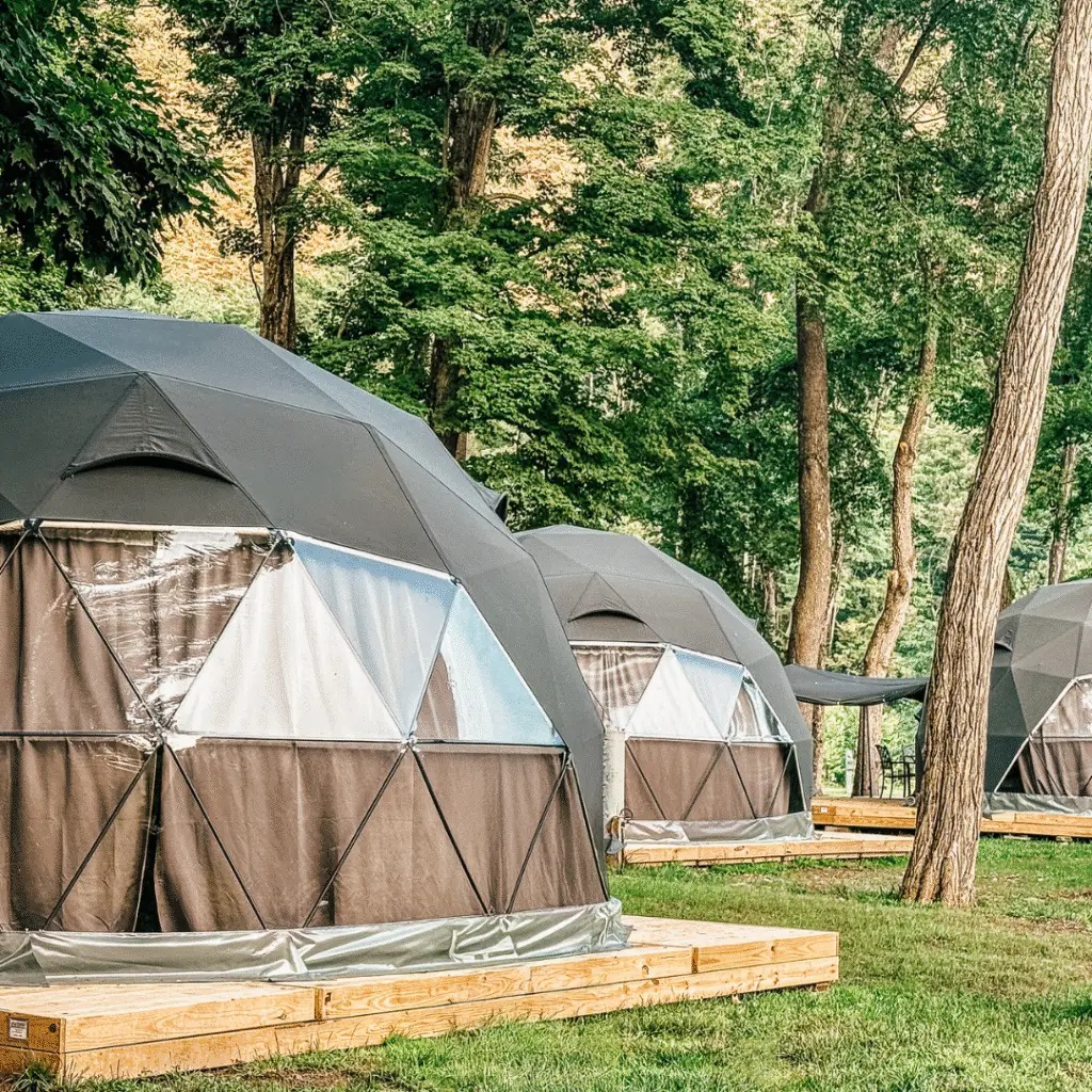 Green glamping tents on wooden decks in the forest.