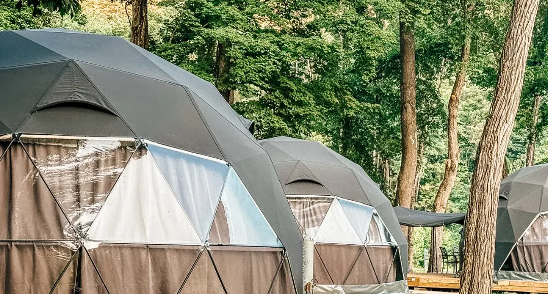 Green glamping tents on wooden decks in the forest.
