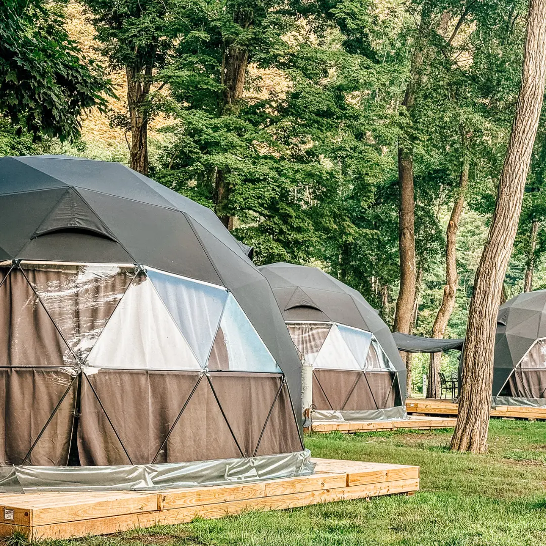 Green glamping tents on wooden decks in the forest.