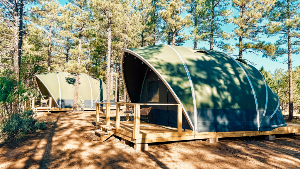 Two green glamping tents on wooden decks set among tall pine trees, with chairs on the porches and sunlight filtering through the forest.