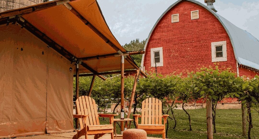 A wooden deck with a table, chairs, a pouf, and a gable tent. The tent is located near the wine cellar.