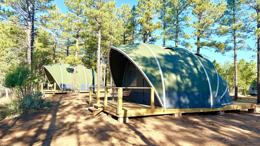 Two large, green, arched glamping tents built on raised wooden platforms in a sunny pine forest. The tent in the foreground features a small wooden deck with chairs and steps leading up to it.