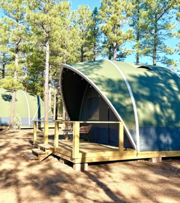 Two large, green, arched glamping tents built on raised wooden platforms in a sunny pine forest. The tent in the foreground features a small wooden deck with chairs and steps leading up to it.